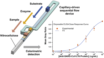 Graphical abstract: Capillary driven microfluidic sequential flow device for point-of-need ELISA: COVID-19 serology testing