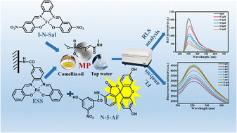 Graphical abstract: Two Fe(iii)/Eu(iii) Salophen complex-based optical sensors for determination of organophosphorus pesticide monocrotophos