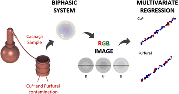 Graphical abstract: Using a biphasic system and digital imaging analysis with chemometric tools for simultaneous determination of Cu2+ and furfural in cachaça