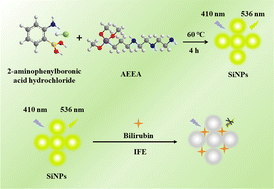 Graphical abstract: Green synthesis of yellow-green emissive silicon nanoparticles and their application for the sensitive fluorescence detection of bilirubin