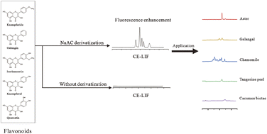 Graphical abstract: Fluorescence enhancement of flavonoids and its application in ingredient determination for some traditional Chinese medicines by CE-LIF