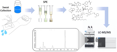 Graphical abstract: Determination of licit and illicit drugs and metabolites in human sweat by liquid chromatography-tandem mass spectrometry