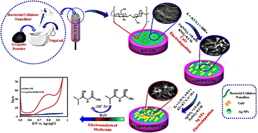 Graphical abstract: Electrochemical determination of metformin via a carbon paste electrode modified with an Ag NPs/Cu2O/CuO-decorated bacterial nanocellulose composite