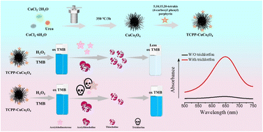 Graphical abstract: A colorimetric analytical method based on a TCPP–CuCo2O4-like peroxidase for the detection of trichlorfon