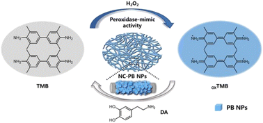 Graphical abstract: Nitrocellulose membranes in situ grown with Prussian blue nanoparticles as stable nanozyme pads for colorimetric detection of dopamine