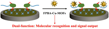 Graphical abstract: Electrochemical detection of glycoproteins using boronic acid-modified metal–organic frameworks as dual-functional signal reporters