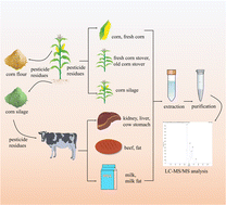 Graphical abstract: Simultaneous determination of 27 pesticides in corn and cow matrices by ultra-performance liquid chromatography-tandem mass spectrometry