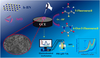 Graphical abstract: Crystal plane-integrated strontium oxide/hexagonal boron nitride nanohybrids for rapid electrochemical sensing of anticancer drugs in human blood serum samples