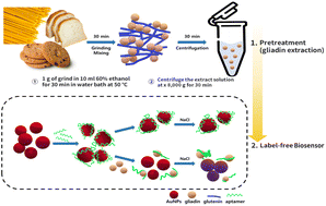 Graphical abstract: A label-free aptamer-based colorimetric biosensor for rapid gliadin detection in foods: a focus on pasta, bread and cookies