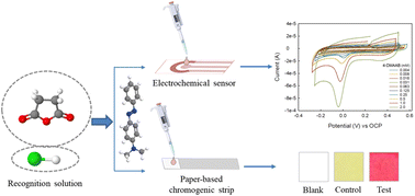 Graphical abstract: A paper-based chromogenic strip and electrochemical sensor for the detection of 4-(dimethylamino)azobenzene