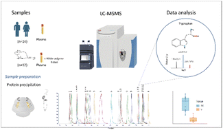 Graphical abstract: Analysis of tryptophan metabolites and related compounds in human and murine tissue: development and validation of a quantitative and semi-quantitative method using high resolution mass spectrometry