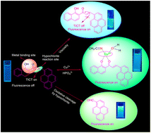 Graphical abstract: Viscosity-sensitive and AIE-active bimodal fluorescent probe for the selective detection of OCl− and Cu2+: a dual sensing approach via DFT and biological studies using green gram seeds