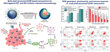 Graphical abstract: Multi-shell structured upconversion nanocarriers that combine IDO inhibitor-induced immunotherapy with NIR-triggered photodynamic therapy for deep tumors