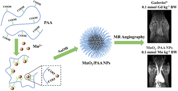 Graphical abstract: Ultra-small manganese dioxide nanoparticles with high T1 relaxivity for magnetic resonance angiography
