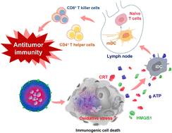 Graphical abstract: Acid-sensitive stable polymeric micelle-based oxidative stress nanoamplifier as immunostimulating anticancer nanomedicine