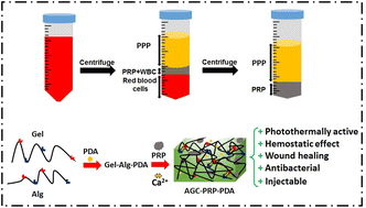 Graphical abstract: Engineering a platelet-rich plasma-based multifunctional injectable hydrogel with photothermal, antibacterial, and antioxidant properties for skin regeneration