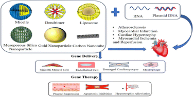 Graphical abstract: Nanocarriers for gene delivery to the cardiovascular system