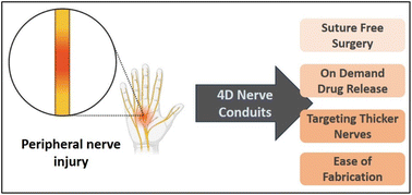Graphical abstract: Emerging 4D fabrication of next-generation nerve guiding conduits: a critical perspective