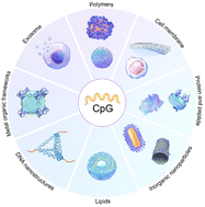 Graphical abstract: Emerging nanoparticle platforms for CpG oligonucleotide delivery