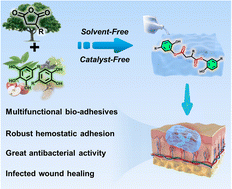 Graphical abstract: Natural polyphenolic antibacterial bio-adhesives for infected wound healing