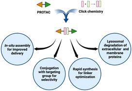 Graphical abstract: Click chemistry in the development of PROTACs