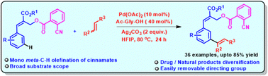 Graphical abstract: Palladium-catalyzed remote meta-C–H olefination of cinnamates