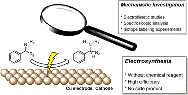 Graphical abstract: Mechanistic investigation of electrocatalytic reductive amination at copper electrode