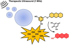 Graphical abstract: Fluorescence-based chemical tools for monitoring ultrasound-induced hydroxyl radical production in aqueous solution and in cells