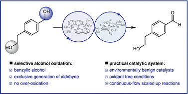 Graphical abstract: Selective oxidation of benzylic alcohols via synergistic bisphosphonium and cobalt catalysis