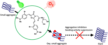 Graphical abstract: Attenuation of α-synuclein aggregation by catalytic photo-oxygenation