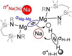 Graphical abstract: Cooperative dihydrogen activation at a Na(i)2/Mg(i)2 ensemble