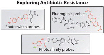 Graphical abstract: Exploring antibiotic resistance with chemical tools