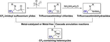 Graphical abstract: Construction of trifluoromethyl-containing heterocycles from trifluoroacetimidoyl chlorides and derivatives
