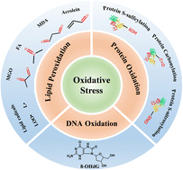 Graphical abstract: Recent progress of oxidative stress associated biomarker detection
