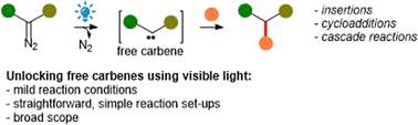 Graphical abstract: Visible light-mediated photolysis of organic molecules: the case study of diazo compounds