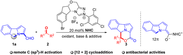 Graphical abstract: NHC-catalyzed [12+2] reaction of polycyclic arylaldehydes for access to indole derivatives