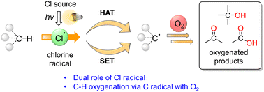 Graphical abstract: Chlorine-radical-mediated C–H oxygenation reaction under light irradiation