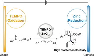 Graphical abstract: Convergent paired electrolysis for zinc-mediated diastereoselective cinnamylation of α-amino esters