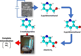 Graphical abstract: Selective photoelectrocatalytic oxidation of 3-methylpyridine to vitamin B3 by WO3 decorated nanotube-structured TiO2