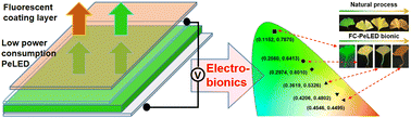 Graphical abstract: Bionic electroluminescent perovskite light-emitting device