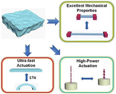 Graphical abstract: Designing strong, fast, high-performance hydrogel actuators