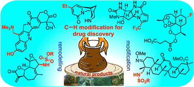 Graphical abstract: C–H modification of natural products: a minimalist enabling tactic for drug discovery, API processing and bioconjugation
