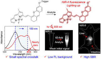 Graphical abstract: Activatable BODIPY-chromene NIR-II probes with small spectral crosstalk enable high-contrast in vivo bioimaging