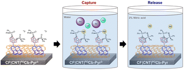 Graphical abstract: Selective heterogeneous capture and release of actinides using carborane-functionalized electrodes
