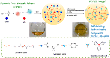 Graphical abstract: Development of multifunctional ionogels derived from a dynamic deep eutectic solvent