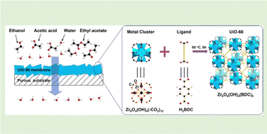 Graphical abstract: Zr-MOF membranes with ultra-fast water-selective permeation towards intensification of esterification reaction
