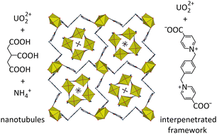 Graphical abstract: Nanotubule inclusion in the channels formed by a six-fold interpenetrated, triperiodic framework
