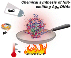 Graphical abstract: Heat, pH, and salt: synthesis strategies to favor formation of near-infrared emissive DNA-stabilized silver nanoclusters
