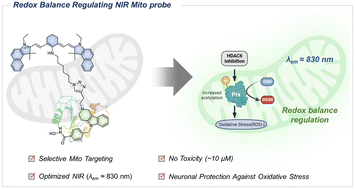 Graphical abstract: Mitochondrial NIR imaging probe mitigating oxidative damage by targeting HDAC6