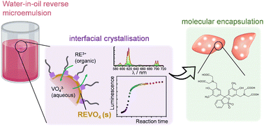 Graphical abstract: Nanoporous YVO4 as a luminescent host for probing molecular encapsulation